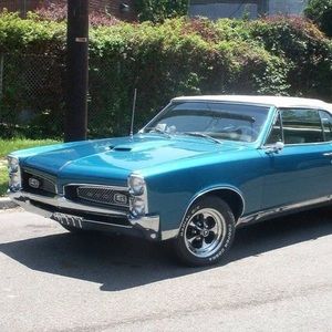 Meet your Posher, Paul